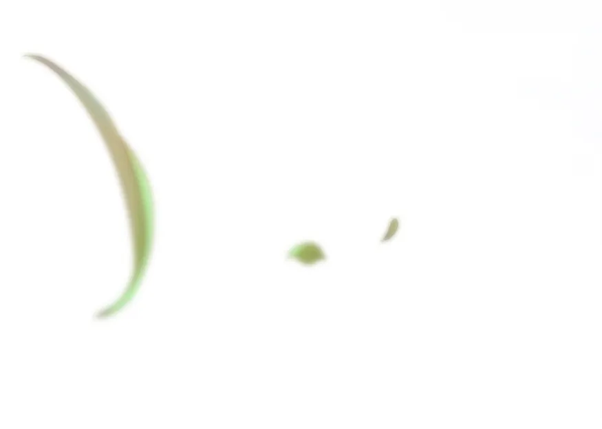 30 Cómo rechazar la obsesión de mi ex esposo