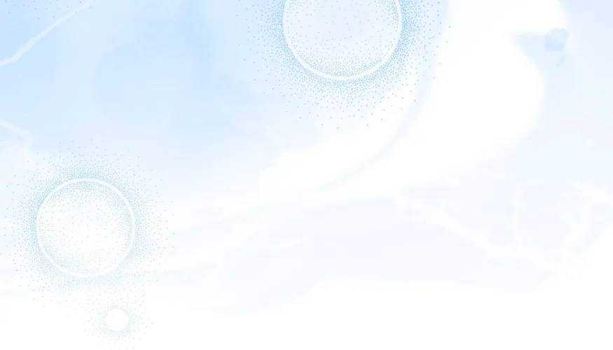 74 Cómo rechazar la obsesión de mi ex esposo