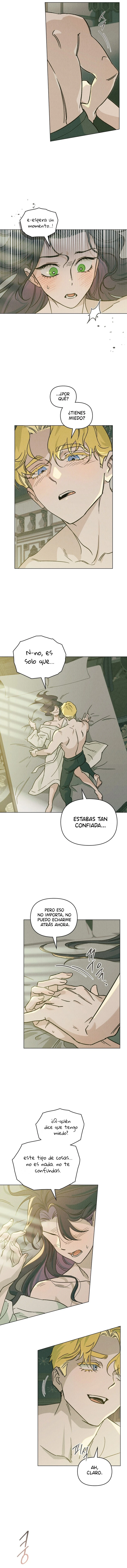 5 La mariposa que se tragó la niebla