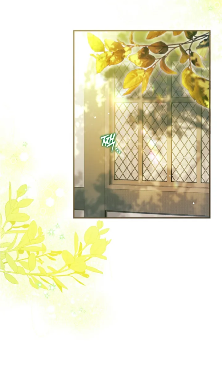 29 Me Comprometí Con El Duque Ciego