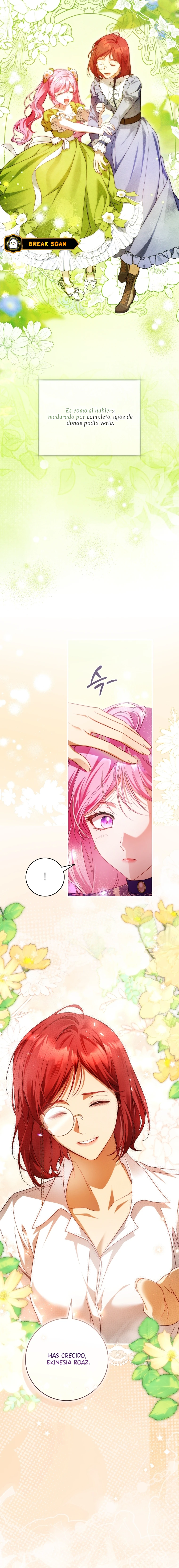 11 Una flor con espada