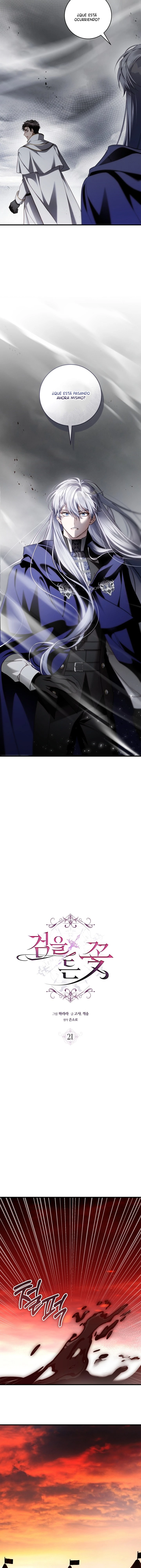 8 Una flor con espada