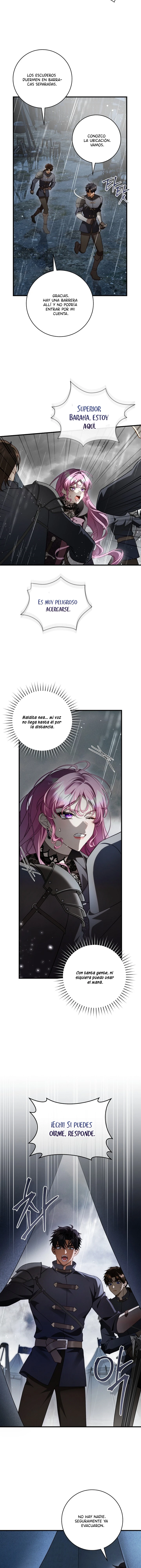 14 Una flor con espada