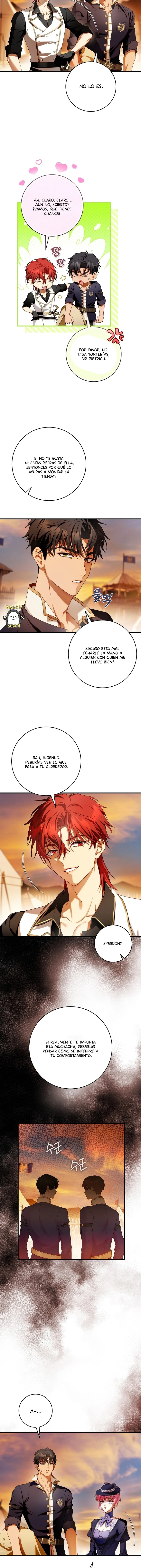 13 Una flor con espada