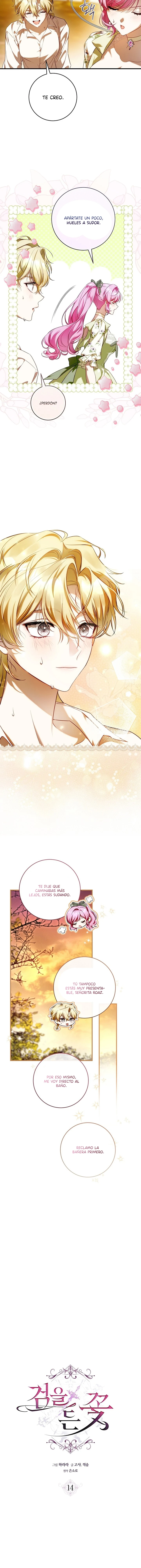 3 Una flor con espada