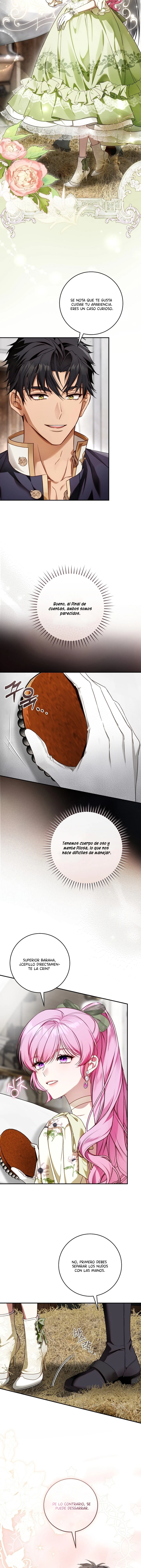 5 Una flor con espada