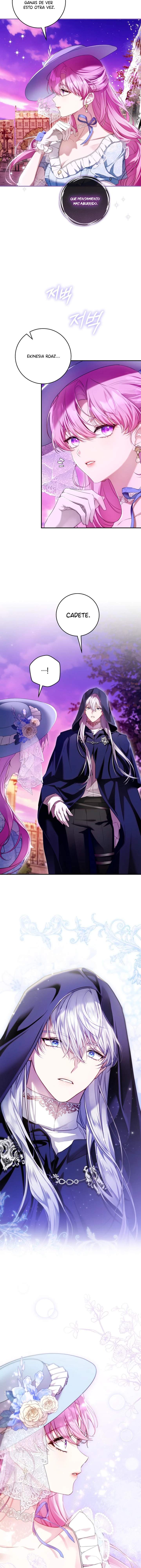 13 Una flor con espada