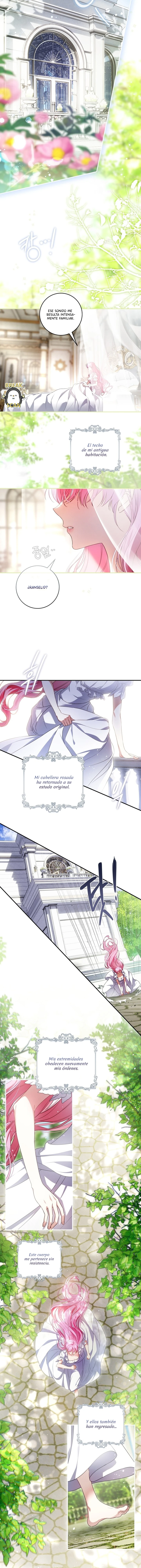 8 Una flor con espada