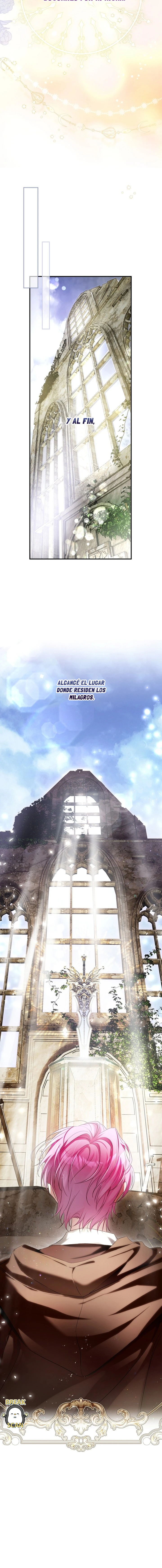 14 Una flor con espada