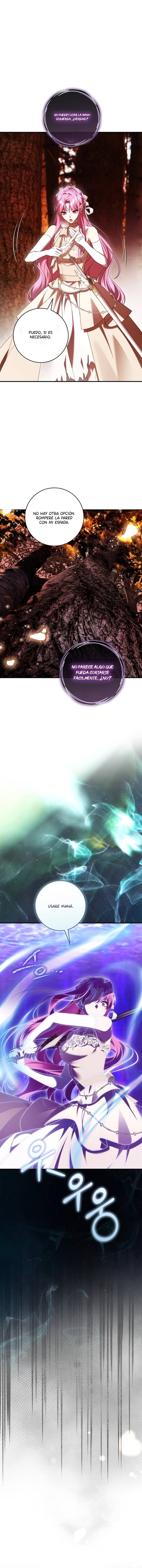 8 Una flor con espada