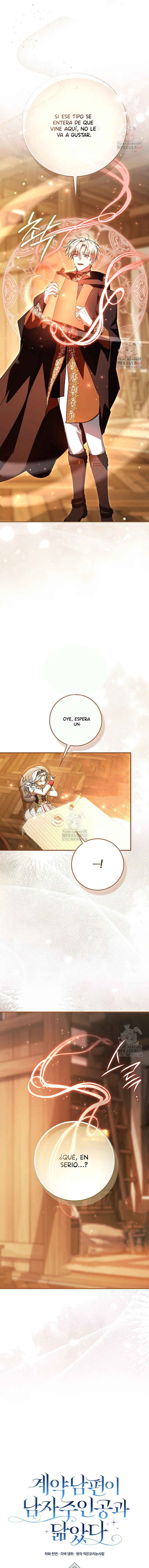 12 Mi marido contratado se parece al protagonista masculino