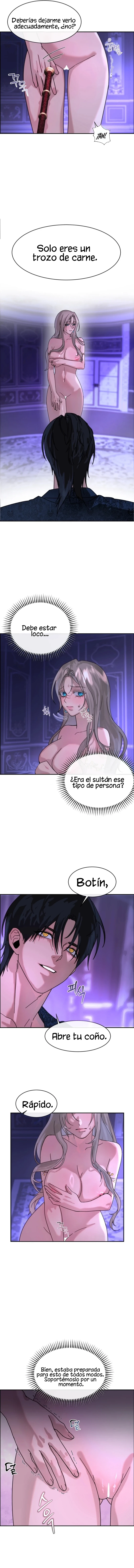 8 Me Convertí en el botín de Guerra del Sultán