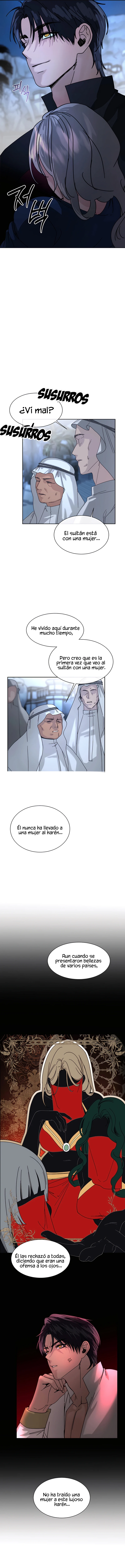 3 Me Convertí en el botín de Guerra del Sultán