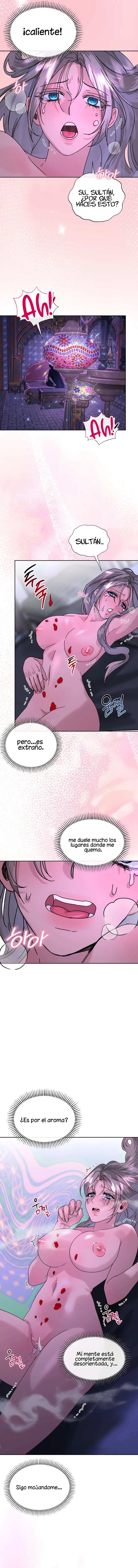 11 Me Convertí en el botín de Guerra del Sultán