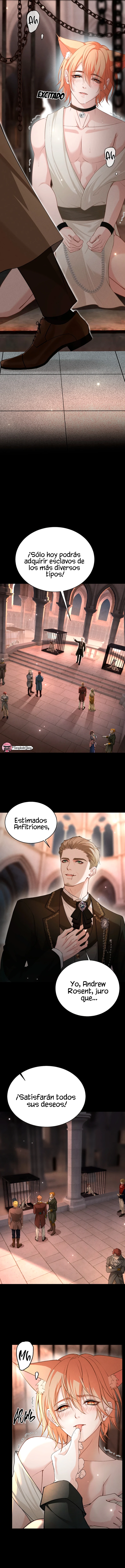 1 ¿Me permites un mordisco?