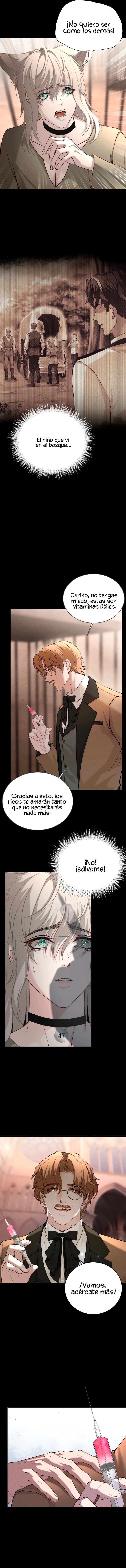 4 ¿Me permites un mordisco?