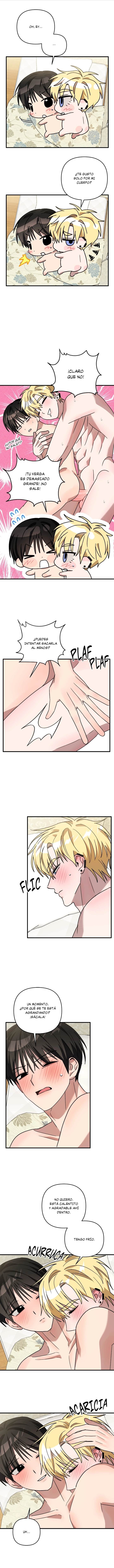 6 Estafado y Defraudado