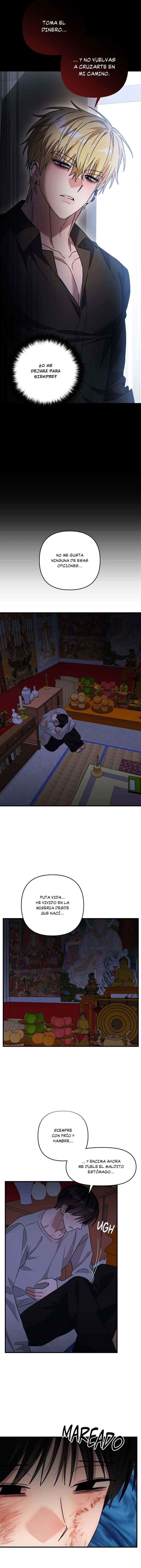 3 Estafado y Defraudado