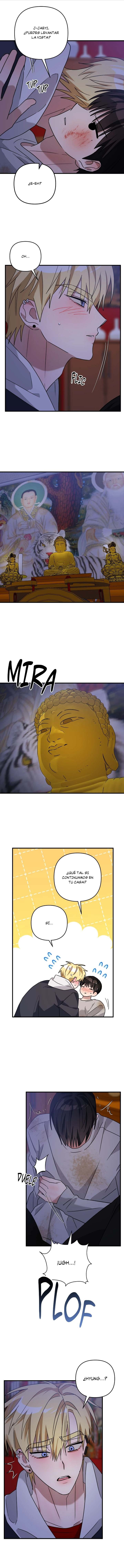 4 Estafado y Defraudado