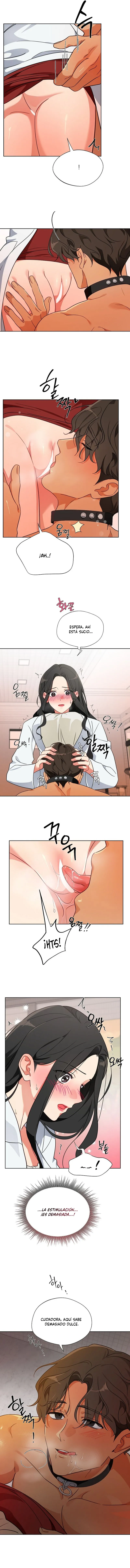 12 Los machos del cuarto de cría