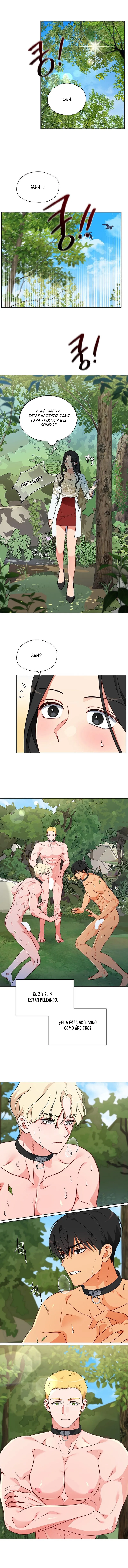 0 Los machos del cuarto de cría