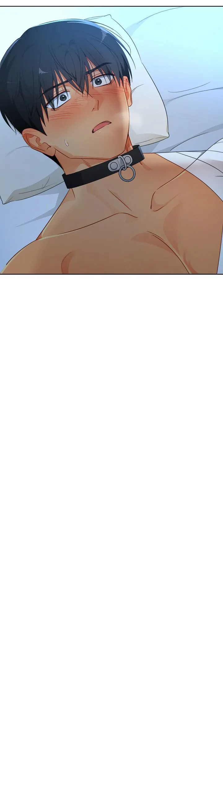 6 Los machos del cuarto de cría