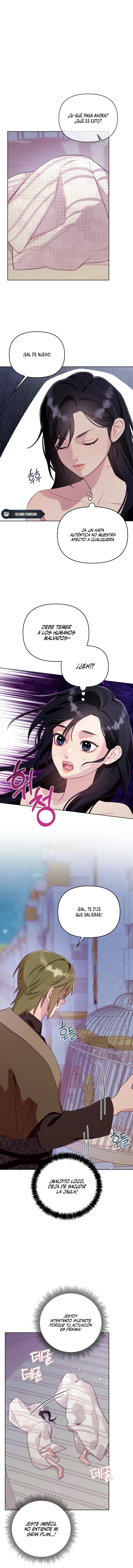 4 La jaula del coleccionista