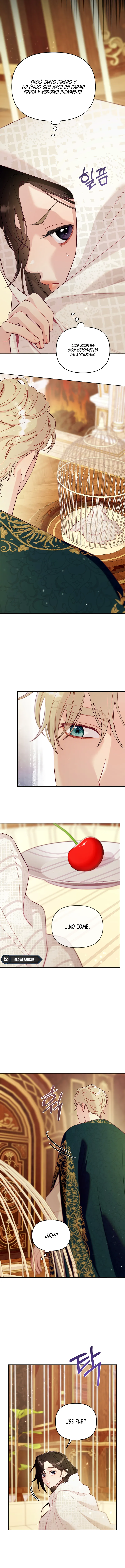 11 La jaula del coleccionista