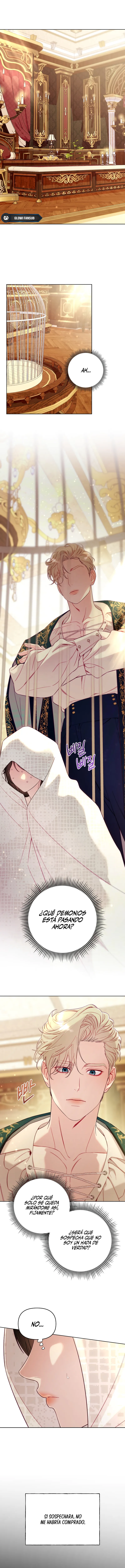 0 La jaula del coleccionista