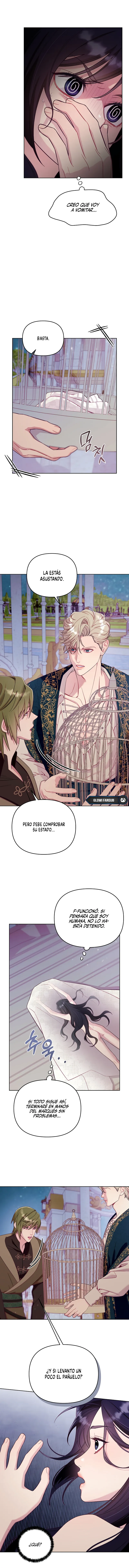 5 La jaula del coleccionista