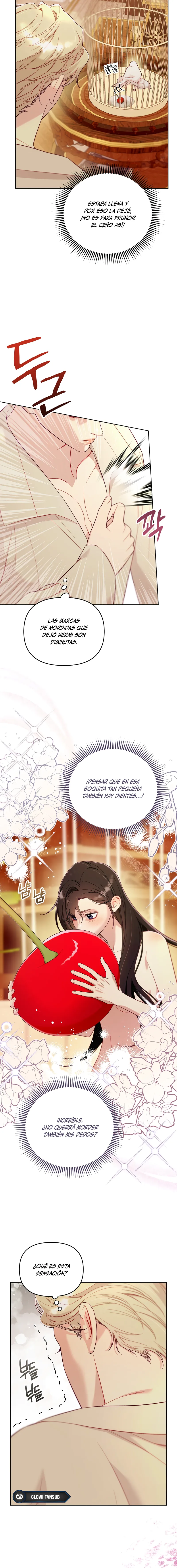 13 La jaula del coleccionista