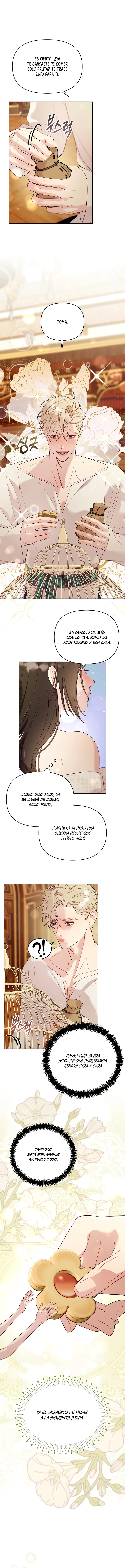 6 La jaula del coleccionista