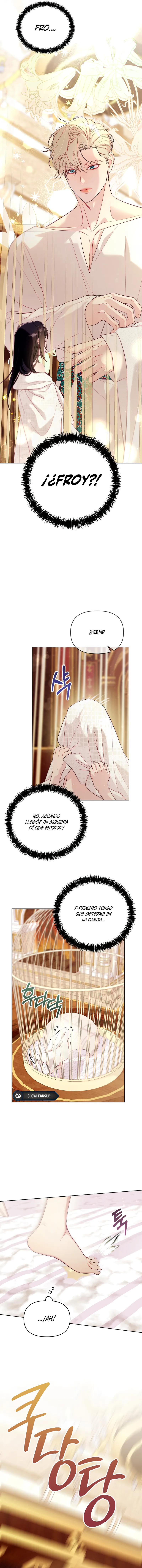 4 La jaula del coleccionista