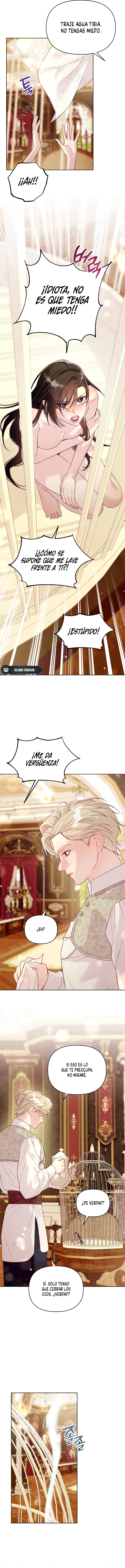 12 La jaula del coleccionista