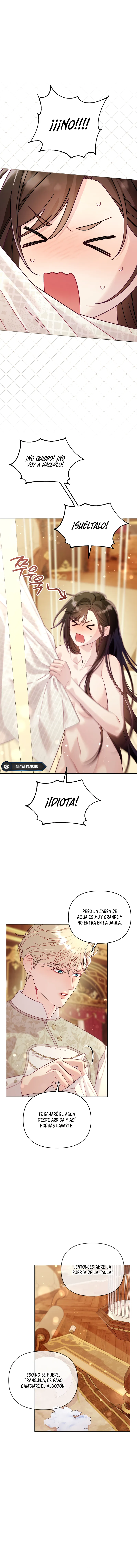 11 La jaula del coleccionista