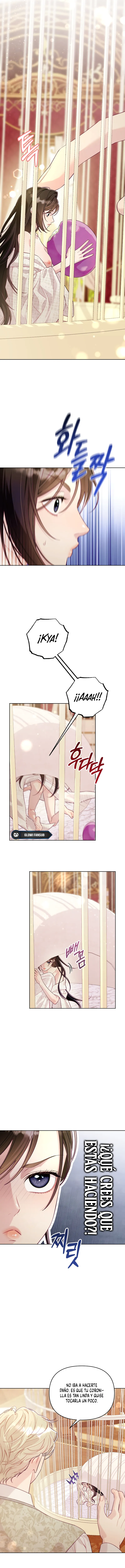 5 La jaula del coleccionista