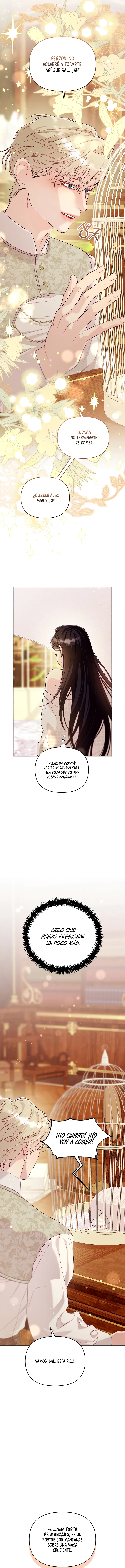 7 La jaula del coleccionista