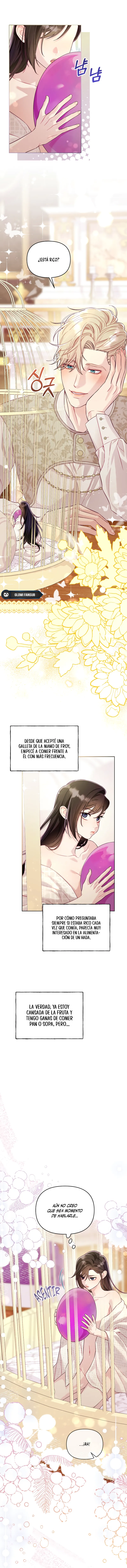 1 La jaula del coleccionista