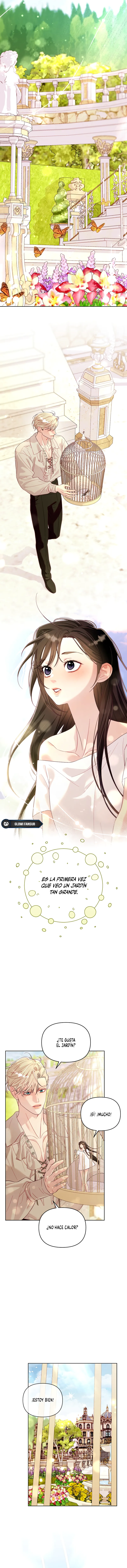 8 La jaula del coleccionista