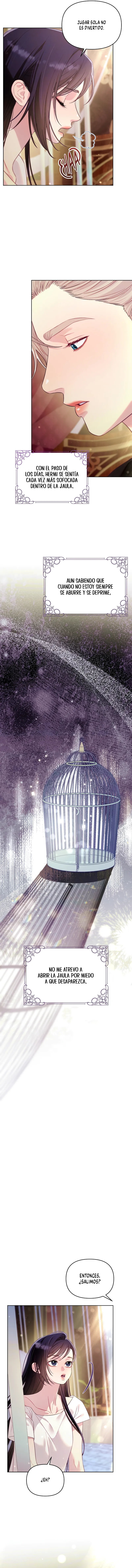 6 La jaula del coleccionista