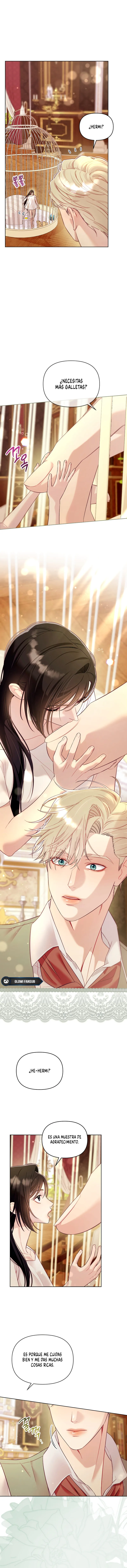 9 La jaula del coleccionista