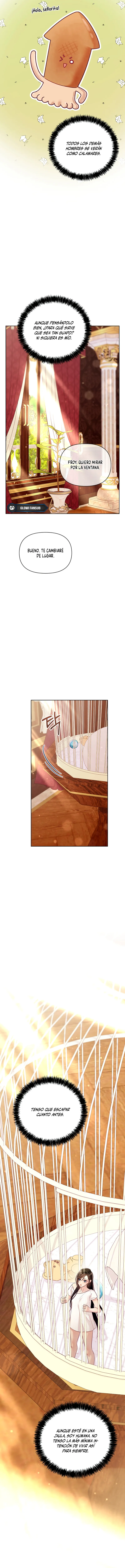 15 La jaula del coleccionista