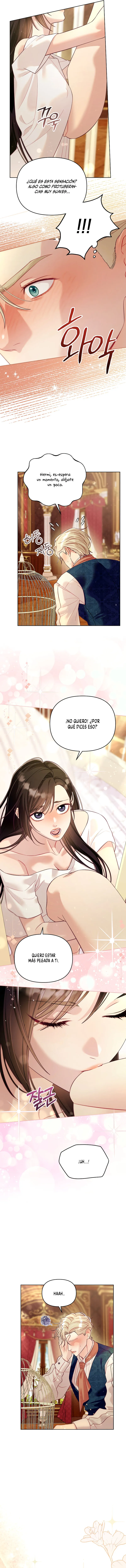 15 La jaula del coleccionista