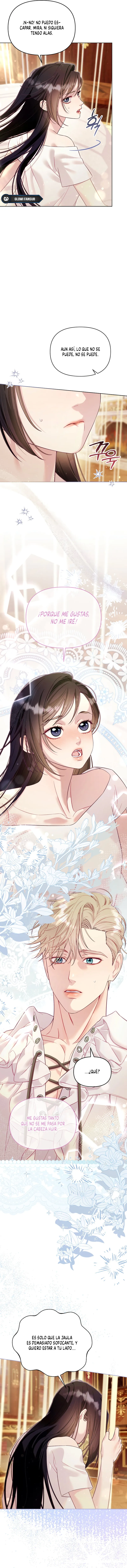 6 La jaula del coleccionista