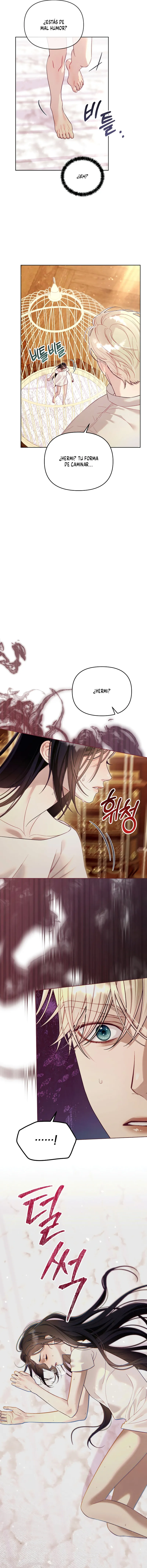 11 La jaula del coleccionista