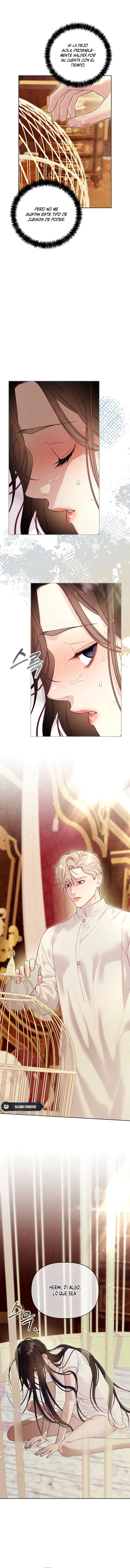 10 La jaula del coleccionista