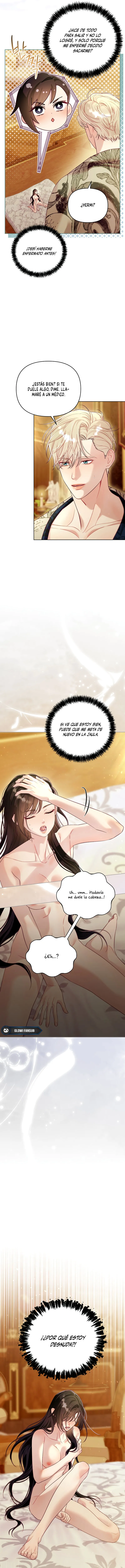 8 La jaula del coleccionista