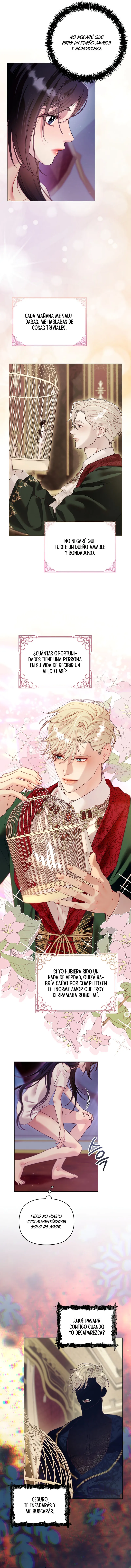 13 La jaula del coleccionista