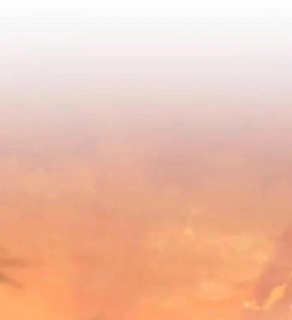 48 EL DIARIO DE SUPERVIVENCIA DEL SECRETARIO DEL TOP OBSESIVO