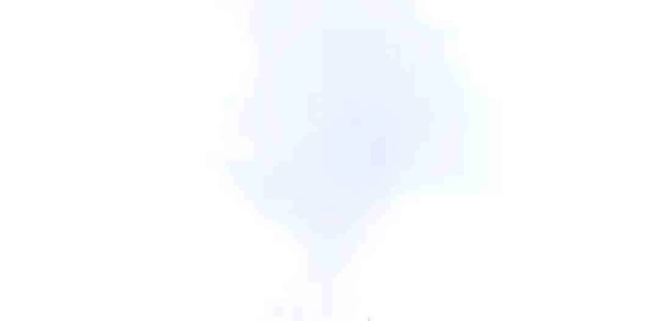 108 EL DIARIO DE SUPERVIVENCIA DEL SECRETARIO DEL TOP OBSESIVO